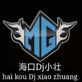 Dj小壮-私人订制(蜗牛与黄鹂鸟Vs暖暖)全中文ProgHouse串烧