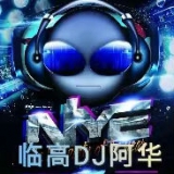 临高DJ阿华-2022网络热播经典旋律车载必备.潮流前线珍藏版