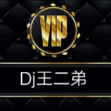 Dj王二弟-奋斗目标K2020端午节私人厕所嗨神串烧