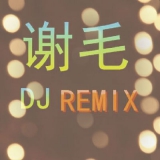 bpm130 合集 - 错过(DJ谢毛 EDM BigRoom Mix 2018)