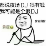 音乐DJ飛龍
